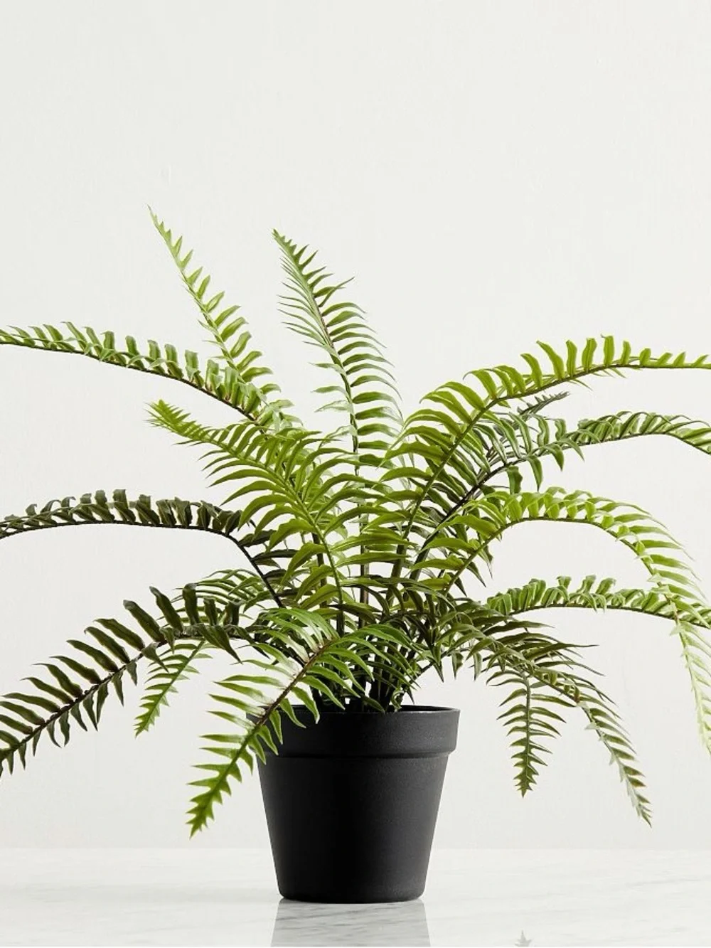 Pottery Barn Faux Potted Wild Fern